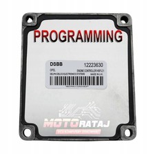 Opel Zafira A 2002 Z przodu