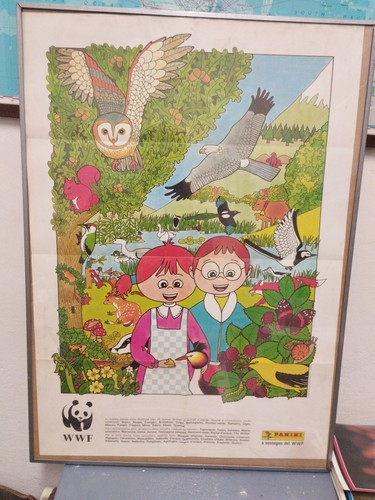 Manifesto poster didattico wwf - poster,