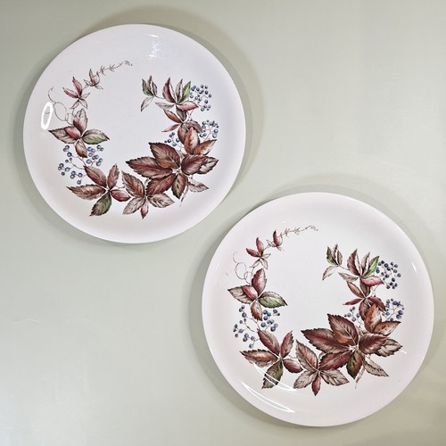 Set piatti vintage - 2, johnson