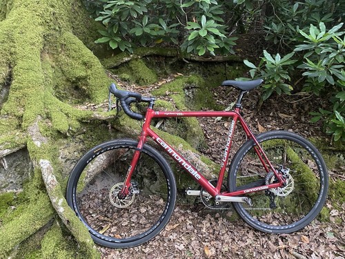 Bicicletta strada - bicicletta, da