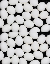 4 dozzine di uova di pollo