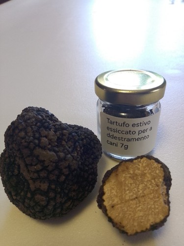 Tartufo nero estivo - estivo, essiccato