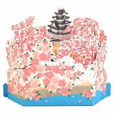 Biglietto di auguri pop up