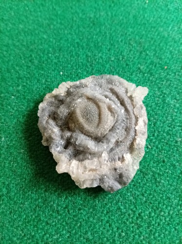 Rosa del deserto - del,