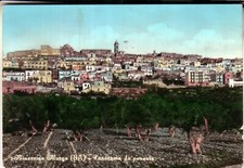 MINERVINO MURGE  ACQU   VIAGGIATA  1971  PANORAMA  