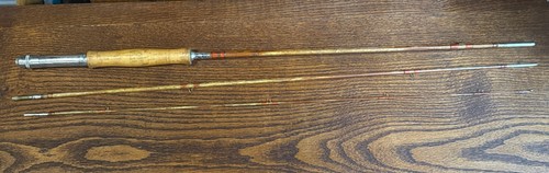 Rara canna mosca bambù - canna,