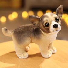 Stand cane cucciolo chihuahua