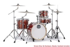  Confezione Conchiglie