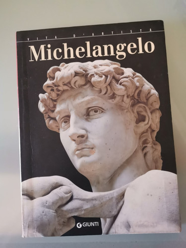 Vita artista michelangelo - d'artista,