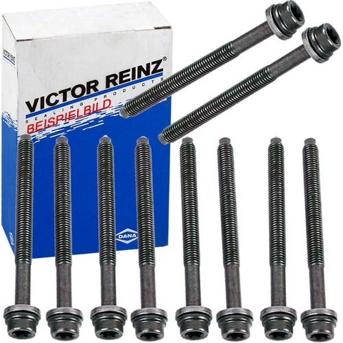 Reinz viti testata cilindro - viti,