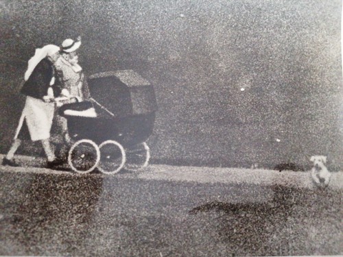 King charles iii newborn in - king,