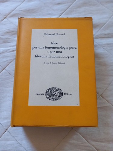 Idee per una - idee, fenomenologia