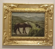 Cavallo al pascolo ( Scuola