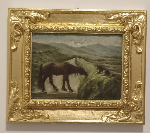 Cavallo pascolo scuola - pascolo,