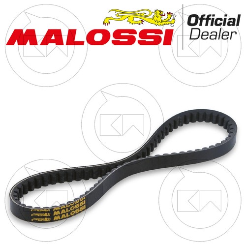 Malossi 6118140 cinghia - malossi,