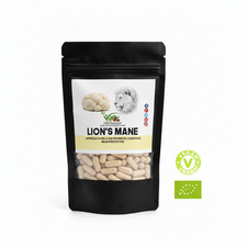 LION'S MANE Biologico 90