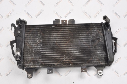 Triumph tiger 1050 - 1050, radiatore