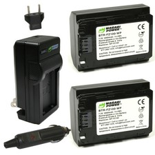 Wasabi Power Battery (2-Pack)