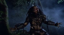 Poster Predator 1987 (11) A3