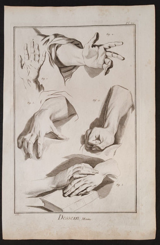 Mani anatomia del - mani,
