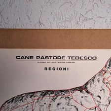 Cane pastore tedesco anatomia disegni dott. Walter Gorrieri 4 tavole poster