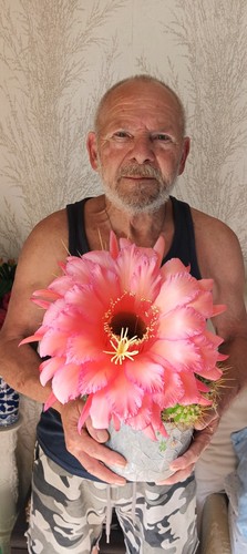 Trichocereus-Echinopsis-lobivi