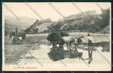 Bologna città costumi carro