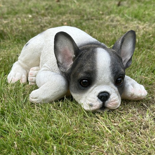 French bulldog laying figurine - french,