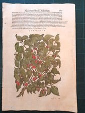 MATTIOLI MATTHIOLI Erbario a