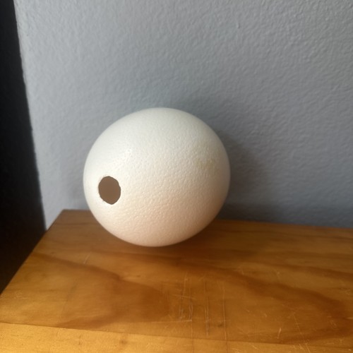 Genuine quality blank ostrich - quality,