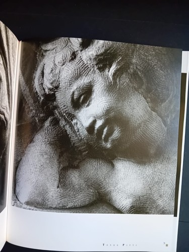 Michelangelo scultore - ,