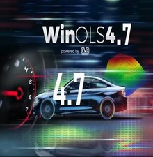 Winols Pack Raccolta Di Damos