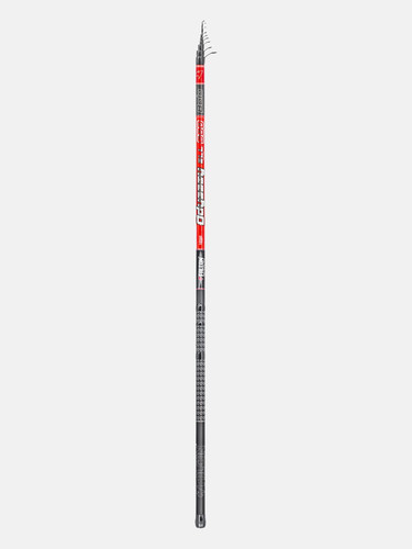 Canna bolognese falcon odyssey - canna,