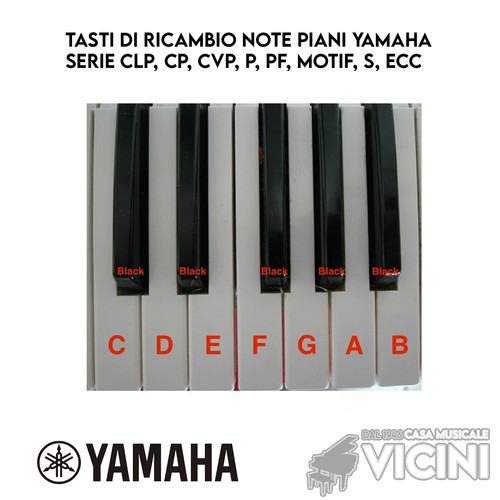 Tasti ricambio note - note, piani