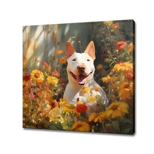 American bull terrier - bull, cane
