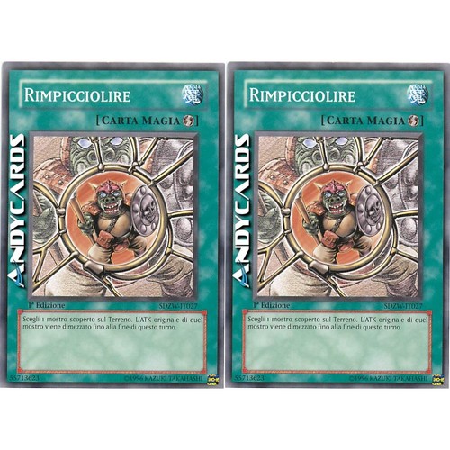 Rimpicciolire - rimpicciolire, (shrink)