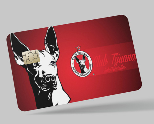 Club xolos tijuana futbol 2 - tijuana,, futbol,