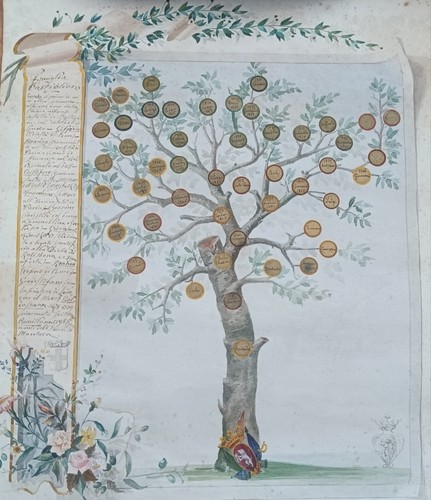 Albero genealogico manoscritto - genealogico,