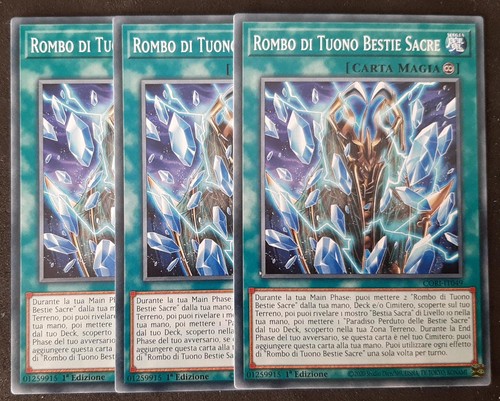Set rombo tuono bestie - rombo, di