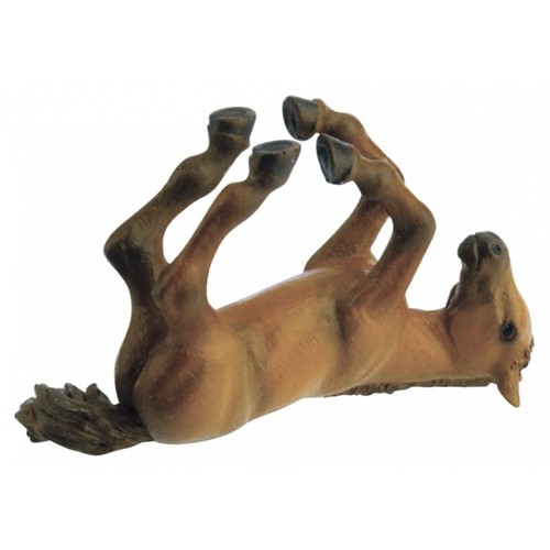 Papo puledro arabo figura