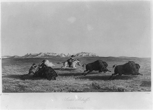 Foto scott bluffs - foto:["scott's, bluffs"]