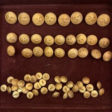 Bottoni dorati per divise del Corpo forestale. Rarissimi. In Tutto 63 Bottoni