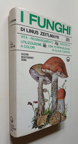 652 linus zeitlmayr i funghi - 652,