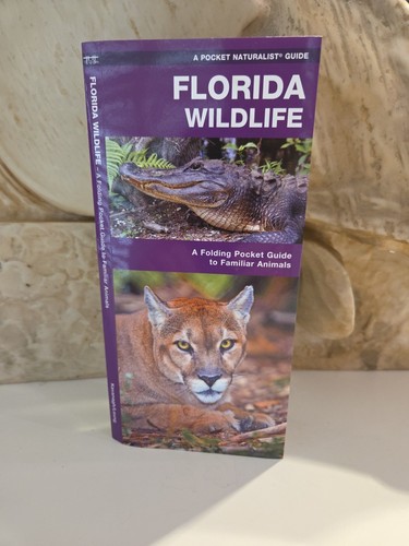Florida wildlife a folding - :,
