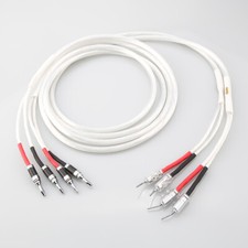 Coppia Cavo Altoparlante Audio