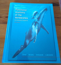 Functional Anatomy of the