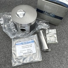 WSM Piston Kit Johnson