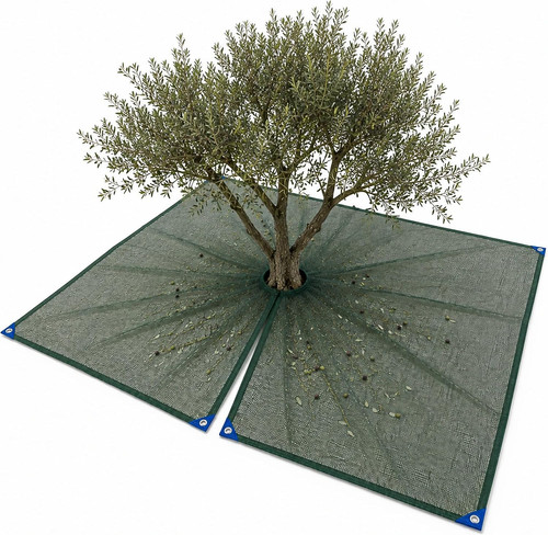Rete raccolta olive spacco - raccolta, a