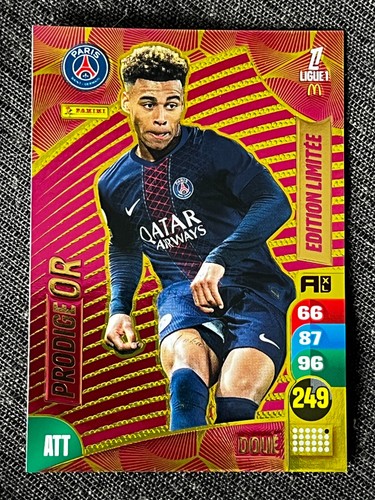 Card panini adrenalyn - panini, xl