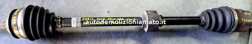 Semialbero anteriore completo